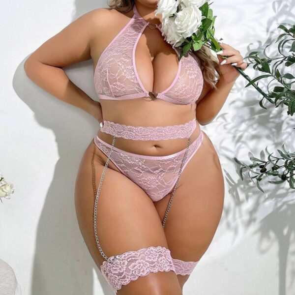 Plus Size Lingerie Large Lace Garter Bra Set Pink See-Shrough